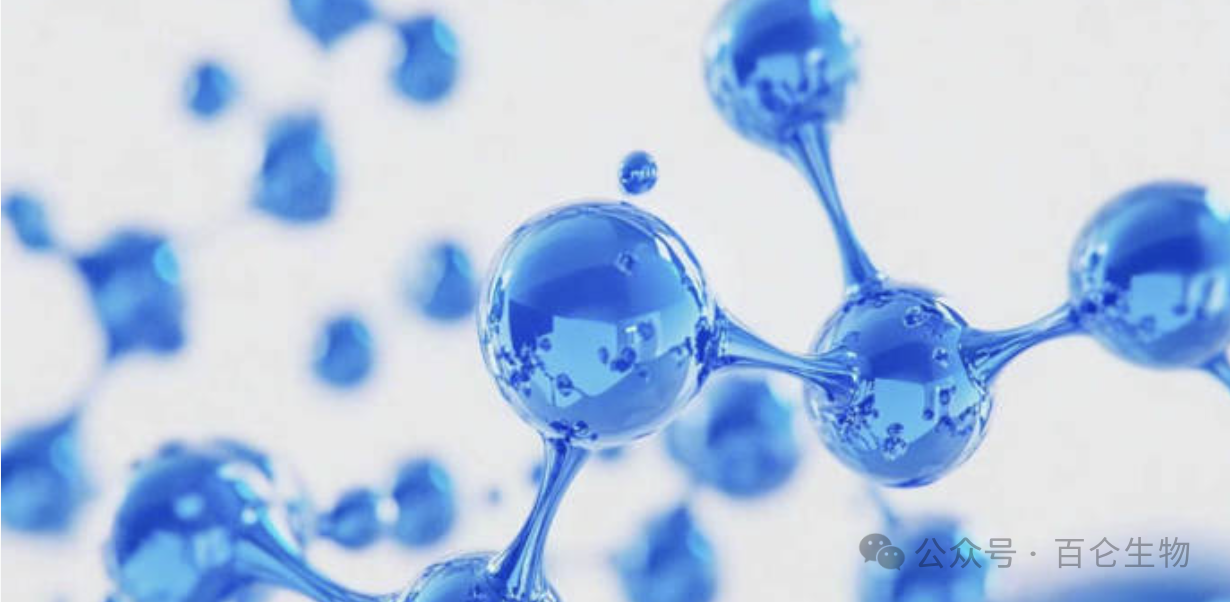 多肽不仅是实验室分子，更是可规模化生产、全球分发的重磅药物，多肽站在小分子与生物大分子之间的黄金交叉点上