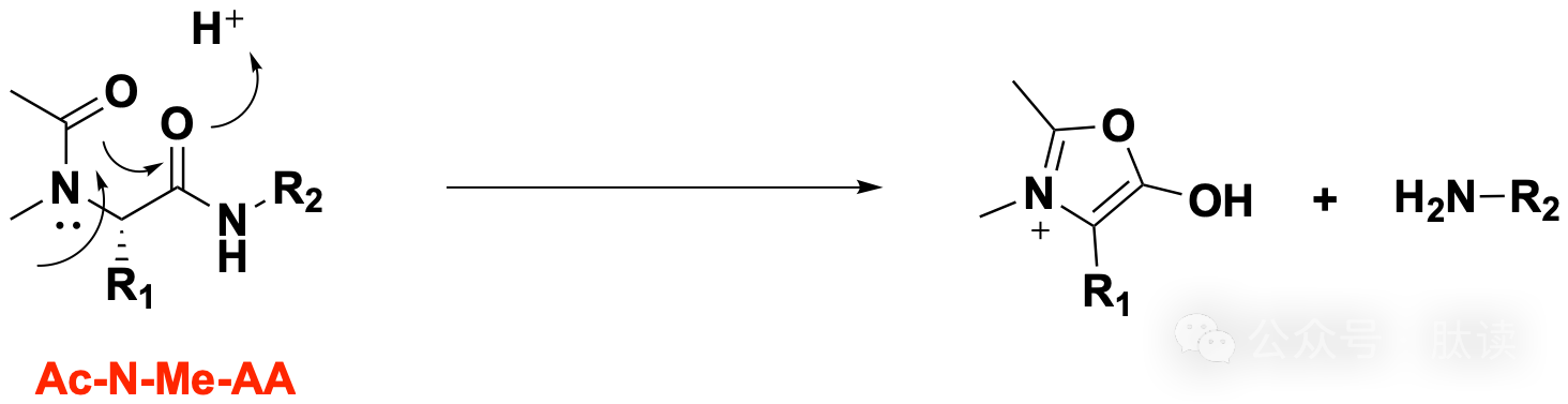 多肽副反应（一）：多肽断裂及序列缺失型副反应